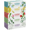 Салфетки Crecia "Scottie Flowerbox" двухслойные, 250 шт. х 5 коробок 