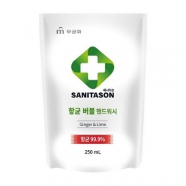 Мыло-пенка для рук "Sanitason" с антибактериальным эффектом и растительными экстрактами (аромат имбиря и лайма) 250 мл, мягкая упаковка