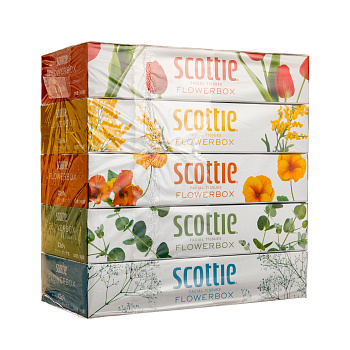 Салфетки Crecia "Scottie Flowerbox" двухслойные 160 шт. х 5 коробок 